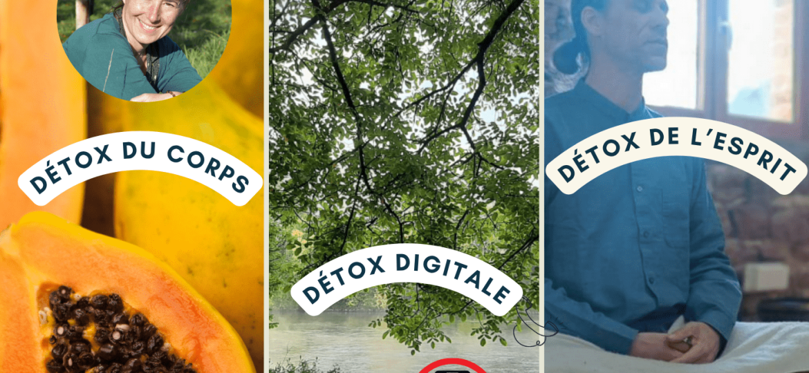 Copie de Stage détox 2026 - Sans mention MM ni prix
