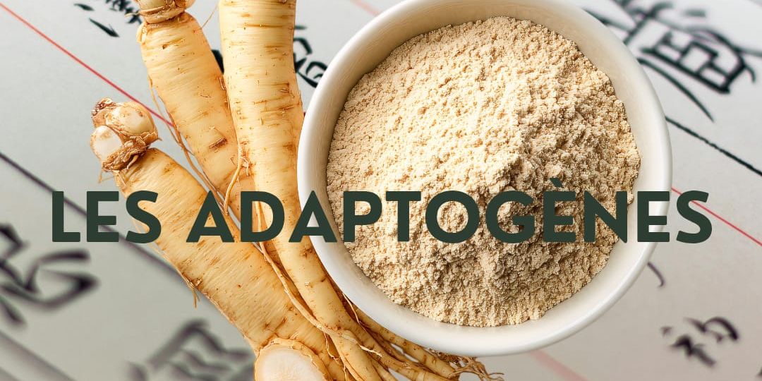 Les adaptogènes