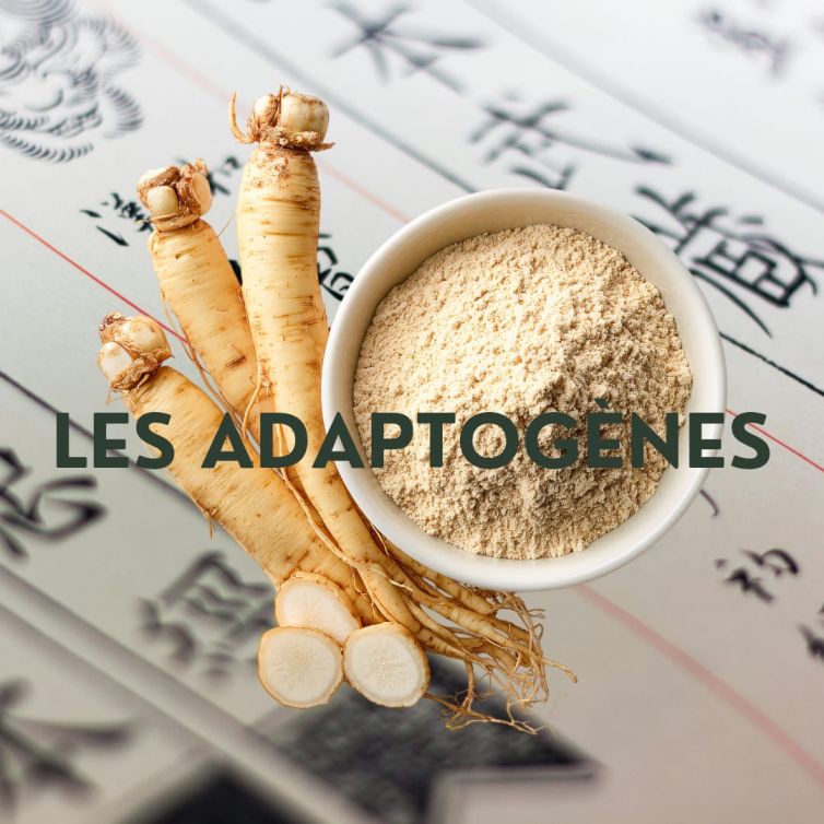 Les adaptogènes
